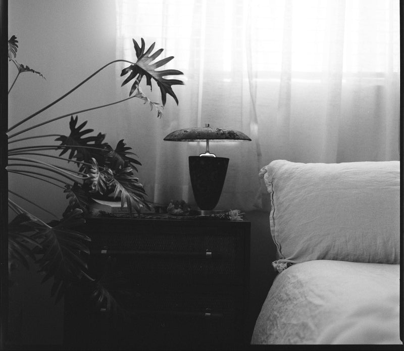 Black and white bedroom scene with a lamp on a nightstand and a plant.